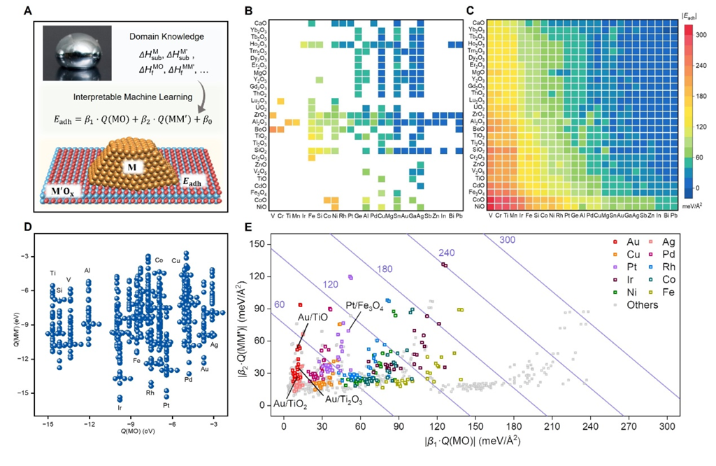 通过可解释AI建立金属-载体相互作用的数学模型